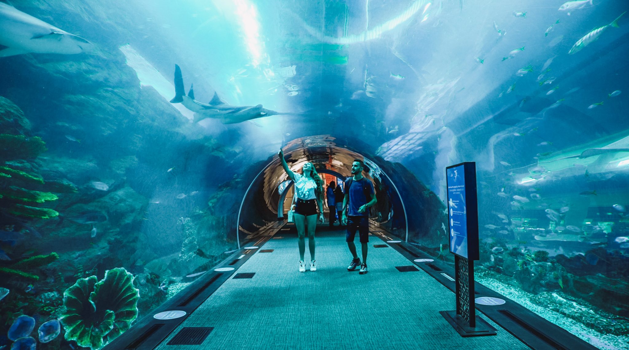 Dubai Aquarium I Zoo I Atrakcja Sprawd Ofert Podr e Z Hubertem