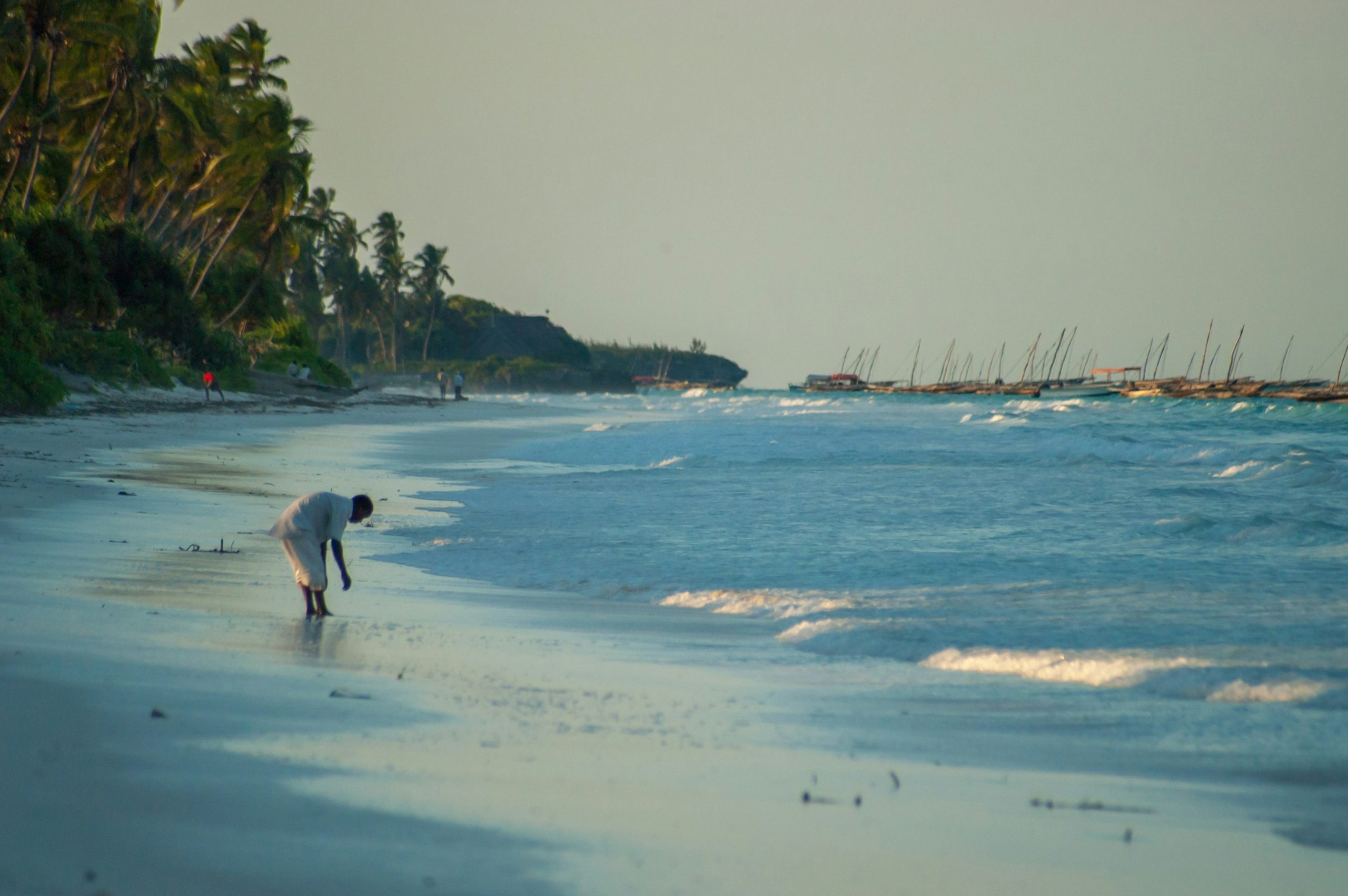 nowa, obowiązkowa opłata 44 dolarów na zanzibarze