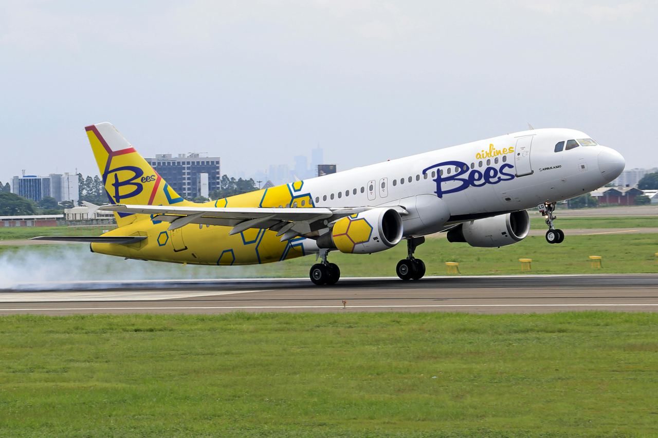 bees airlines, czyli nowa linia lotnicza na mapie europy