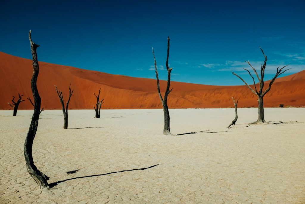 Condor uruchomi loty do Namibii